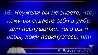 Бог не опоздает, ты не бойся.