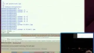 Tornado web framework for multiplexed remote access