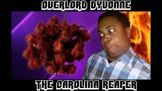 Pepper Challenge - Dried Carolina Reaper