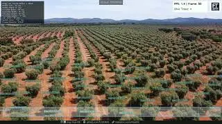 🌿🛩️ Automated Olive Tree Detection & Counting from Drone Footage Using AI 🌍🌳