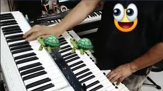 เต่างอย Keyboard Cover By.kruboom Kawisara