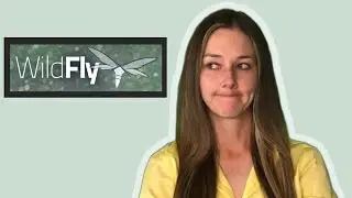 What is WildFly?