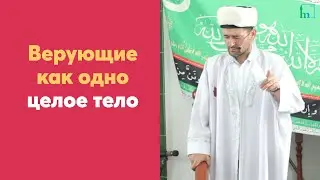 Верующие как одно целое тело