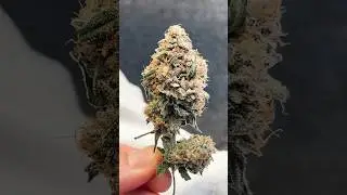 Hope everyone had a great 710!!