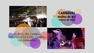 19-02-2023 Reportatge de Carnaval: Ball del Camell, rua de desenfreno i cremada del rei carnestoltes
