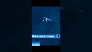 охота на пингвина