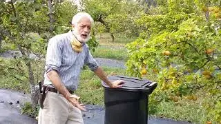 A simple, organic way to control orchard pests