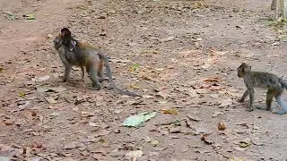 DSCN0001
