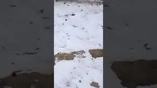 вторая  часть двустволка нёрф против пистолета Nerf пистолет зомби-апокалипсис кто из них победит