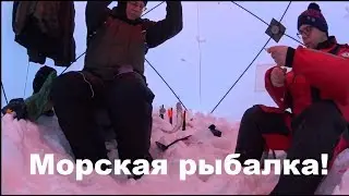 Морская рыбалка, жор корюха, отличный клев