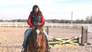 How to Manage a Horse Without a Bridle