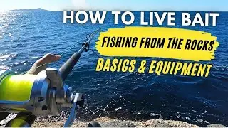 How to Live Bait - Fishing From the Rocks [Basics & Equipment]