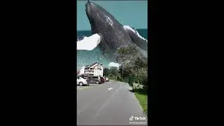 Penampakan di langit Paling Hoax 😂| Tik Tok viral