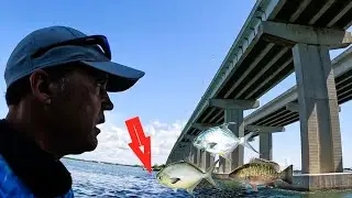 This Bridge is On Fire🔥🔥 (Fishing North of Skyway Pier Bridges)