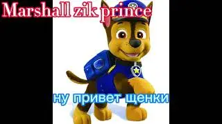 🩰Комикс щенячий патруль🩰 