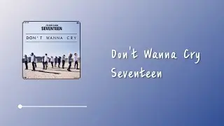 SEVENTEEN (세븐틴) - Don't Wanna Cry (울고 싶지 않아) Lyrics 中韓字幕 | 中文歌詞
