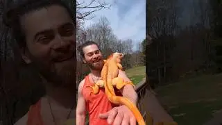 Dragon and Me 🧡 