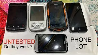 I got an Untested Mobile Phone Lot with 2 very sketchy phones in it