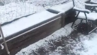 May 1 Garden Update with... more snow.