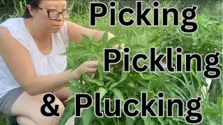 Picking, pickling and plucking from our garden