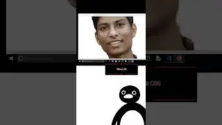 website with CSS/without CSS noot penguin meme