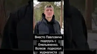 Алмейда, потом Павлович, а затем бокс с Емельяненко / Волков жжет #александрволков