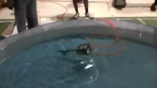 RoboFish IITM Spl Video