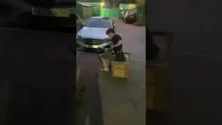 Пуговозка