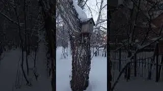 2.01.2024#₸үмен