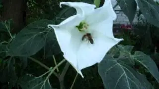 Удивительное - рядом...