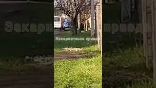 Мобилизация в Закарпатье