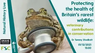 Protecting the health of Britain’s rarest wildlife: veterinary contributions in conservation.