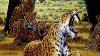 10 interesting facts about sabre tooth cats