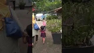 taman topi Bogor(3)