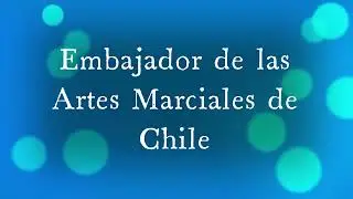 EMBAJADOR DE LAS ARTES MARCIALES DE CHILE