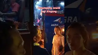 Penumpang cewek kebingungan naik bus #busmania #shorts