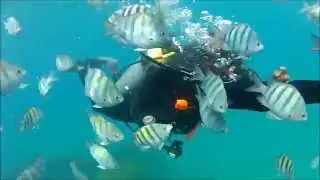 Snorkeling at Casa Marina