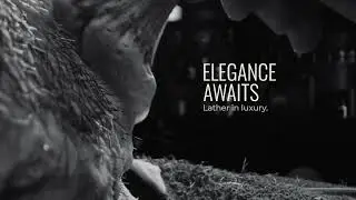 Welcome to Shaving, Perfected | The Art of Shaving