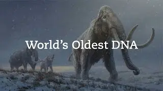 World’s oldest DNA reveals how mammoths evolved