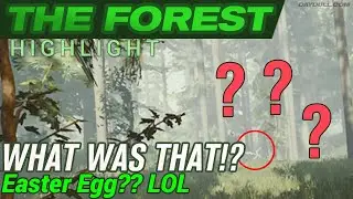 The Forest (VR) - Uhh... Easter Egg? Glitch?