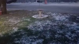 First snow of 2025  In Texas
