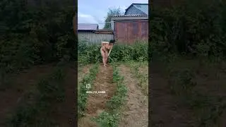 Окса под Коксом. ОКУЧИВАЕМ КАРТОШКУ ИЛИ СЖИГАЕМ ЖИРЫ.