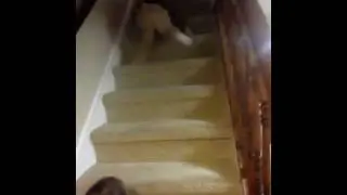 Stairmasters.mov