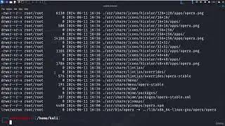 27  Using DPKG Debian Package