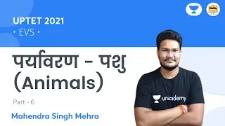 पर्यावरण - पशु  (Animals) Class - 6 | UPTET 2021 | Hello Teachers | Mahendra Singh Mehra