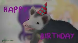 Happy Birthday Villanarei