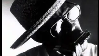 Jerry Mccain - Homogenized Love