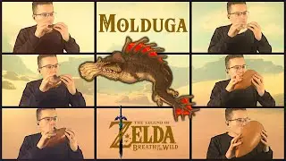 Molduga (Breath of the Wild) | Ocarina Septet Cover