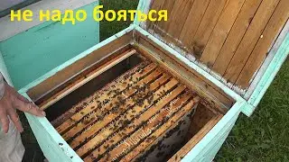 без верхнего утепления расплод не застудится