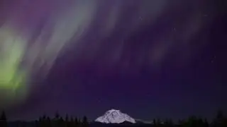 Northern Lights over Mt. Rainier #northernlights #auroraborealis #aurora